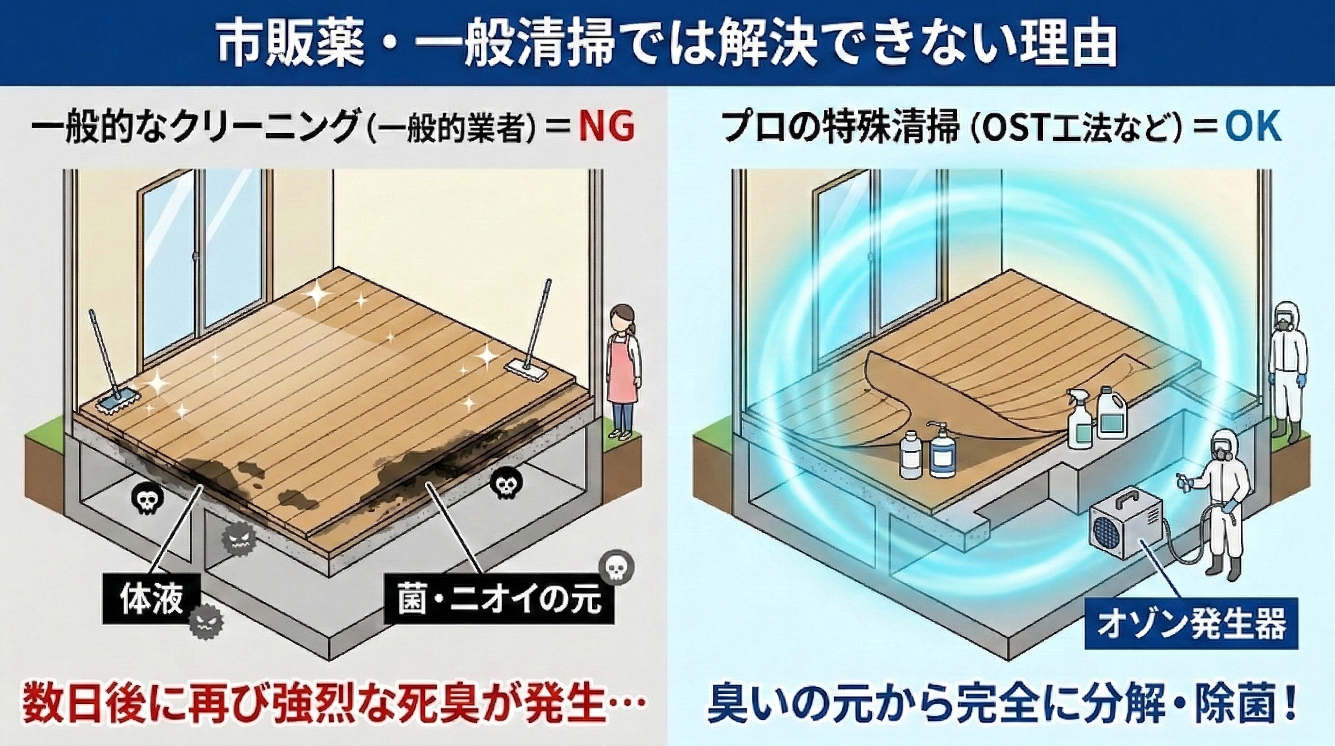 一般清掃で解決できない理由